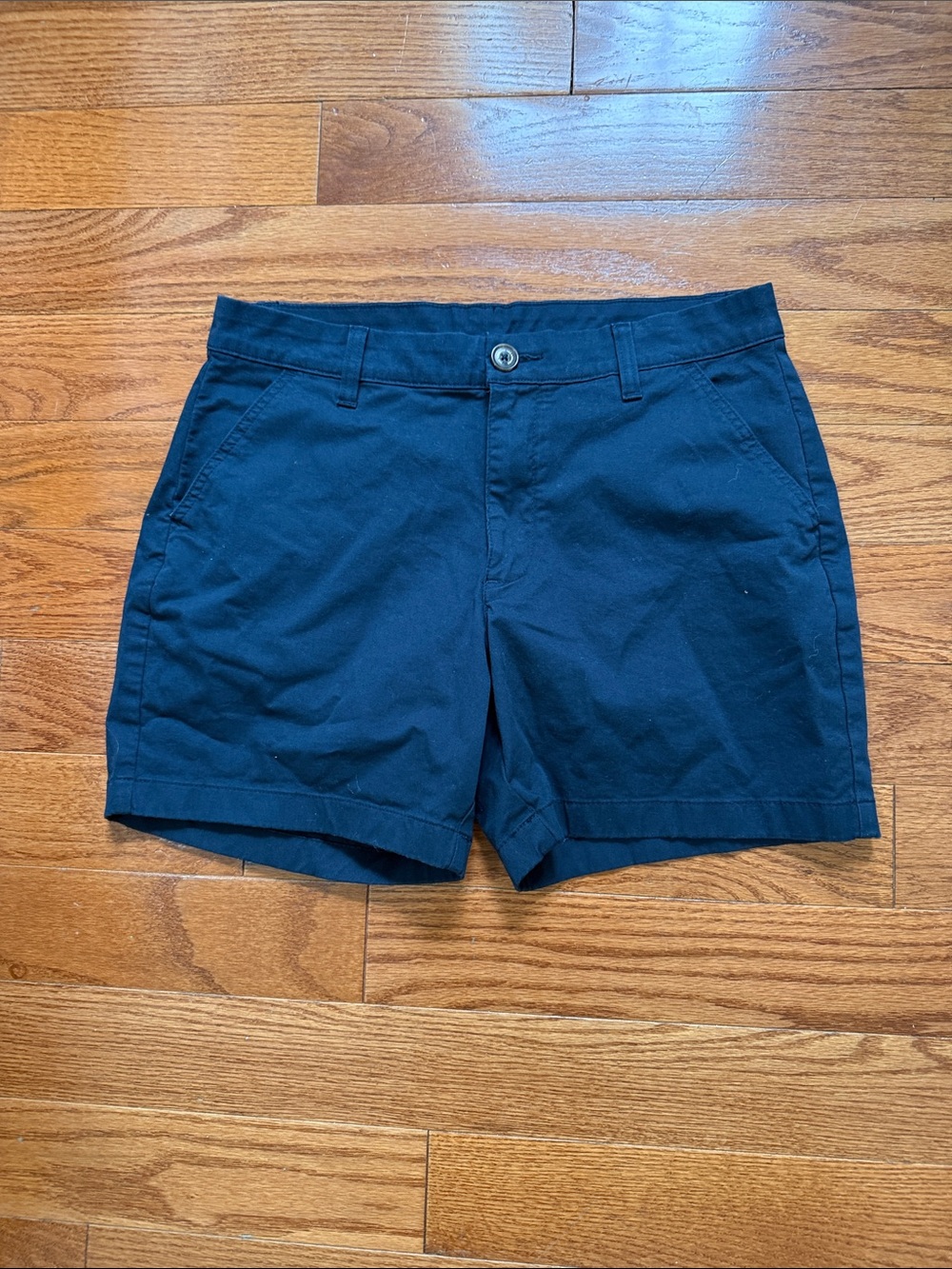 chubbies Navy and Light Blue Lined Shorts